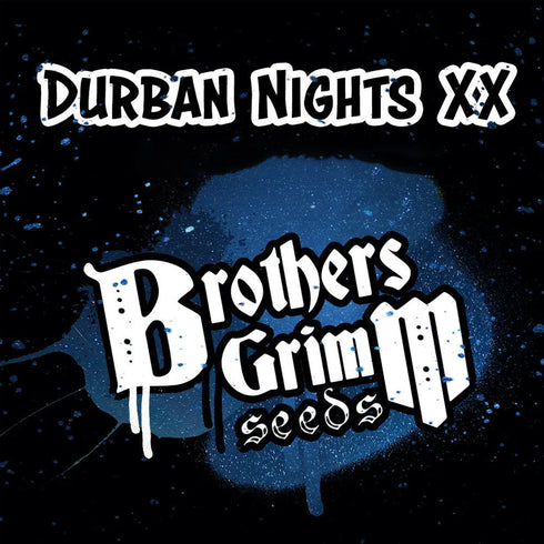 Brothers Grimm Seeds - Durban Nights XX
