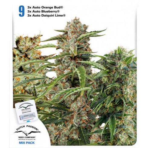 Dutch Passion - Fruity Mix Auto