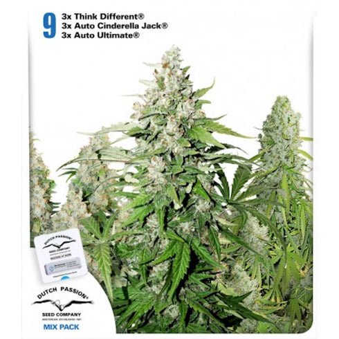 Dutch Passion - High Potency Autoflowering Mix
