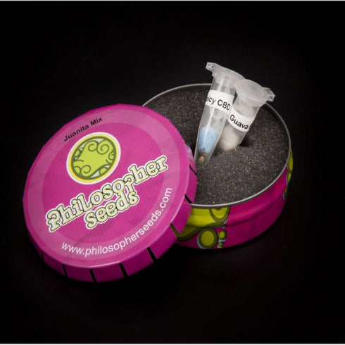 Philosopher Seeds - Juanita Mix