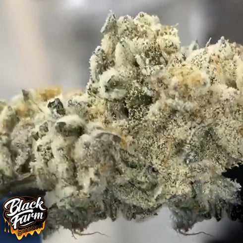 Black Farm Genetix - L.A. Banana Cake