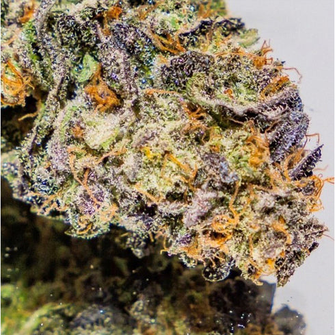 Massive Creations - Cherry Impossible