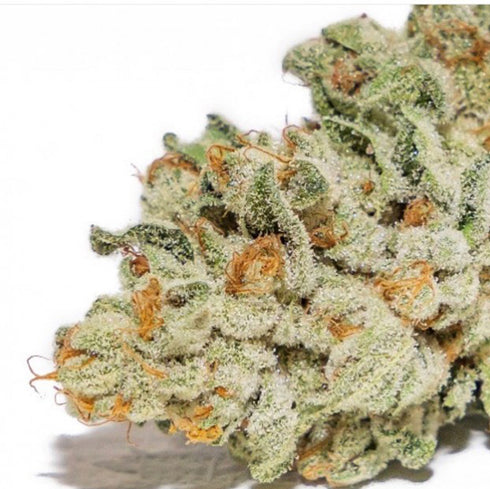 Massive Creations - Thors Hammer