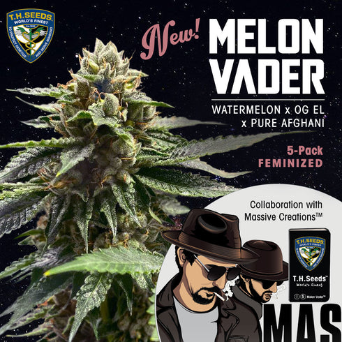 T.H. Seeds - Melon Vader