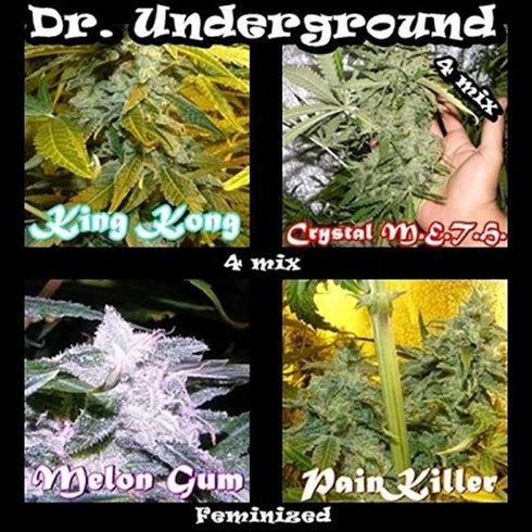 Dr Underground - Surprise Killer Mix