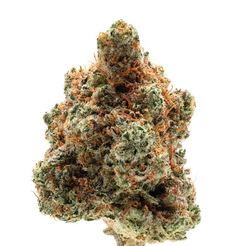 Growers Choice - Monkey Glue Auto