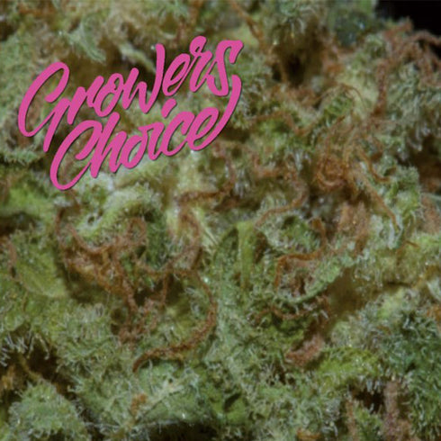 Growers Choice - Monsterbud