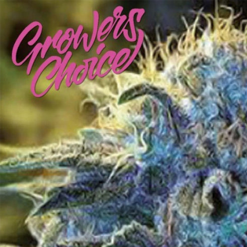 Growers Choice - New York Diesel