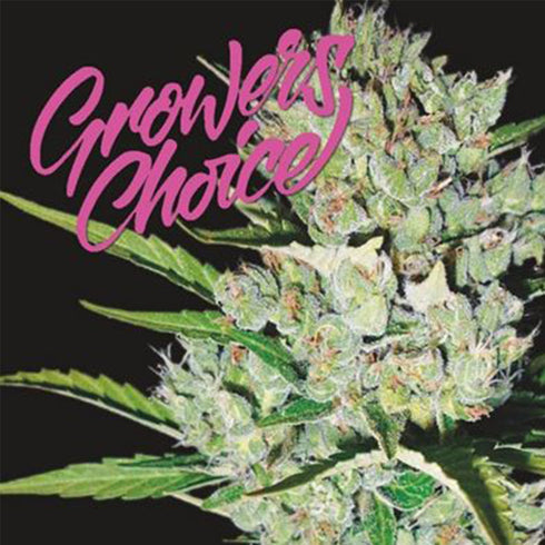 Growers Choice - Nicole Kush