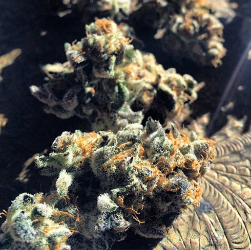 Oni Seed Co - Strawpicanna