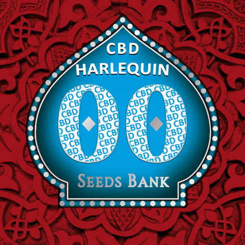 00 Seeds - Harlequin CBD