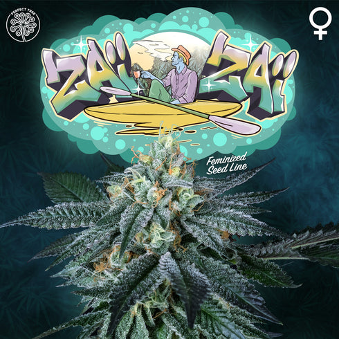 Perfect Tree Seeds - ZaiZai