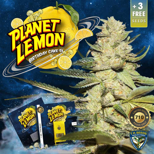 T.H. Seeds - Planet Lemon