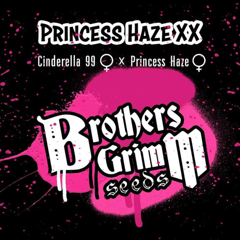 Brothers Grimm Seeds - Princess Haze XX