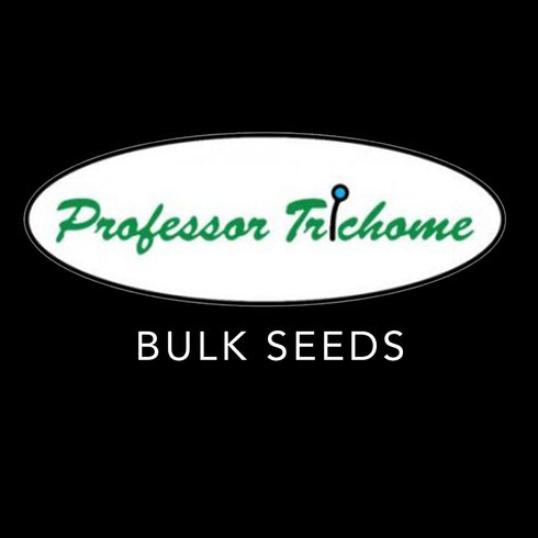 Professor Trichome Seeds - Pink Runtz