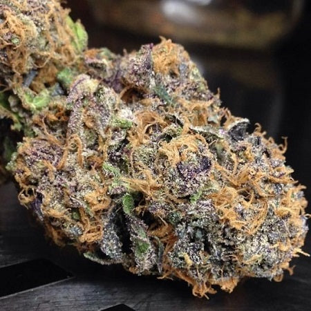 Professor Trichome Seeds - Purple Urkle