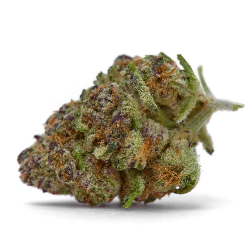Growers Choice - Purple Sunset