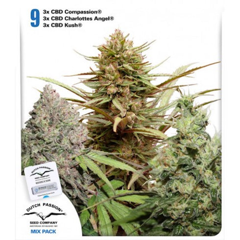Dutch Passion - Rich Mixed CBD