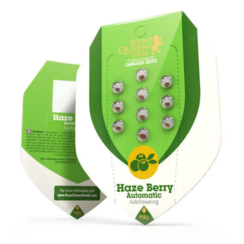 Royal Queen Seeds - Haze Berry Auto