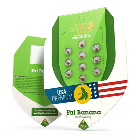Royal Queen Seeds - Fat Banana Auto