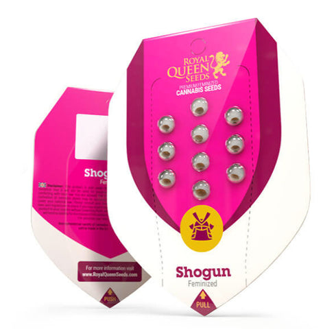 Royal Queen Seeds - Shogun