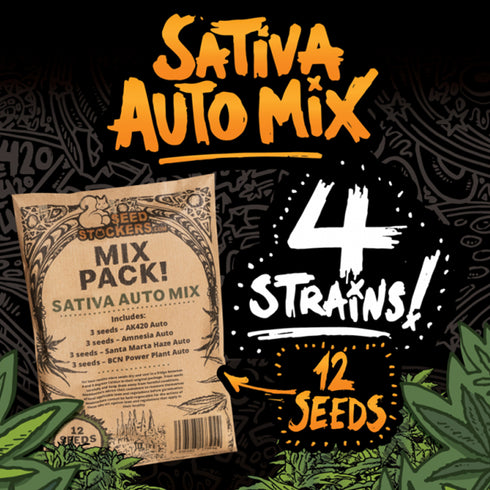 Seed Stockers Seeds - Sativa Auto Mix