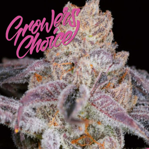 Growers Choice - Sour Zkittlez