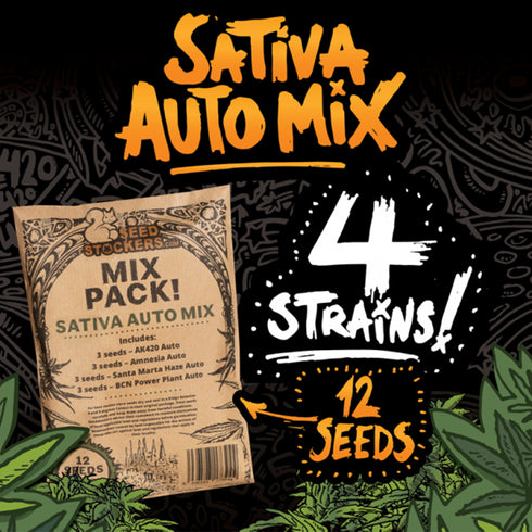 Seed Stockers Seeds - Sweet Auto Mix