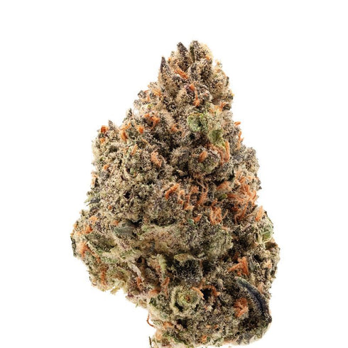 Growers Choice - Tangie Punch