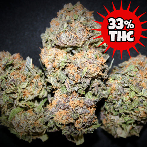 Taste-Budz Seeds - Blackberry Moonrocks