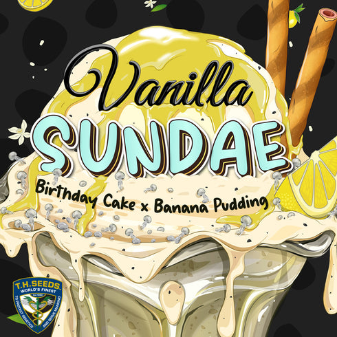 T.H. Seeds - Vanilla Sundae