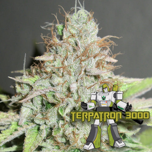 Ultra Genetics - Terpatron 3000 F2