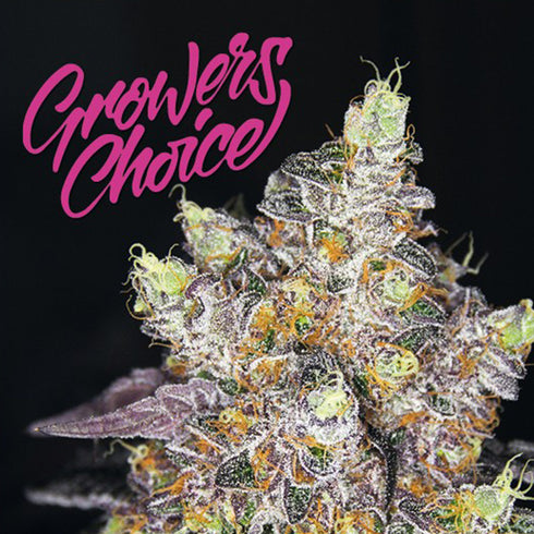 Growers Choice - Watermelon Punch