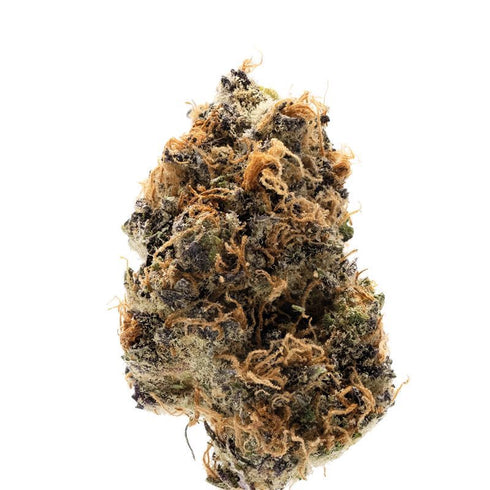 Growers Choice - Watermelon Punch Auto