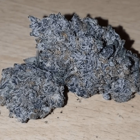 BSB Genetics - The Cali Collection - Wedding Cake