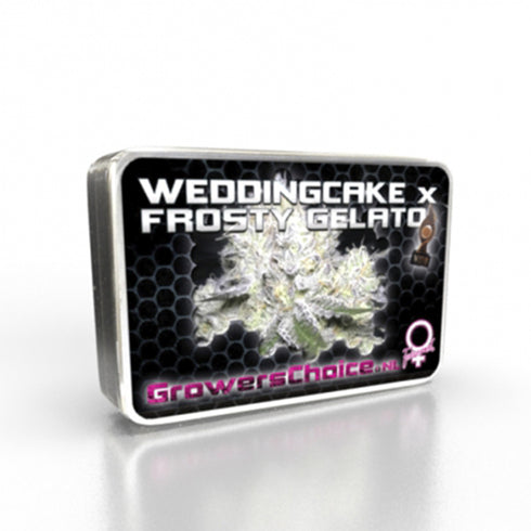 Growers Choice - Wedding Cake x Frosty Gelato Double XL Auto