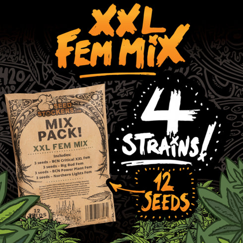 Seed Stockers Seeds - XXL Fem Mix